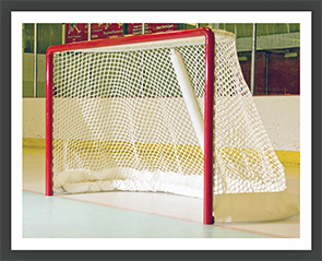Ice Rink Netting Ice Skating Rinks, Dasherboards of Hockey and Soccer– Rink Systems Inc.
